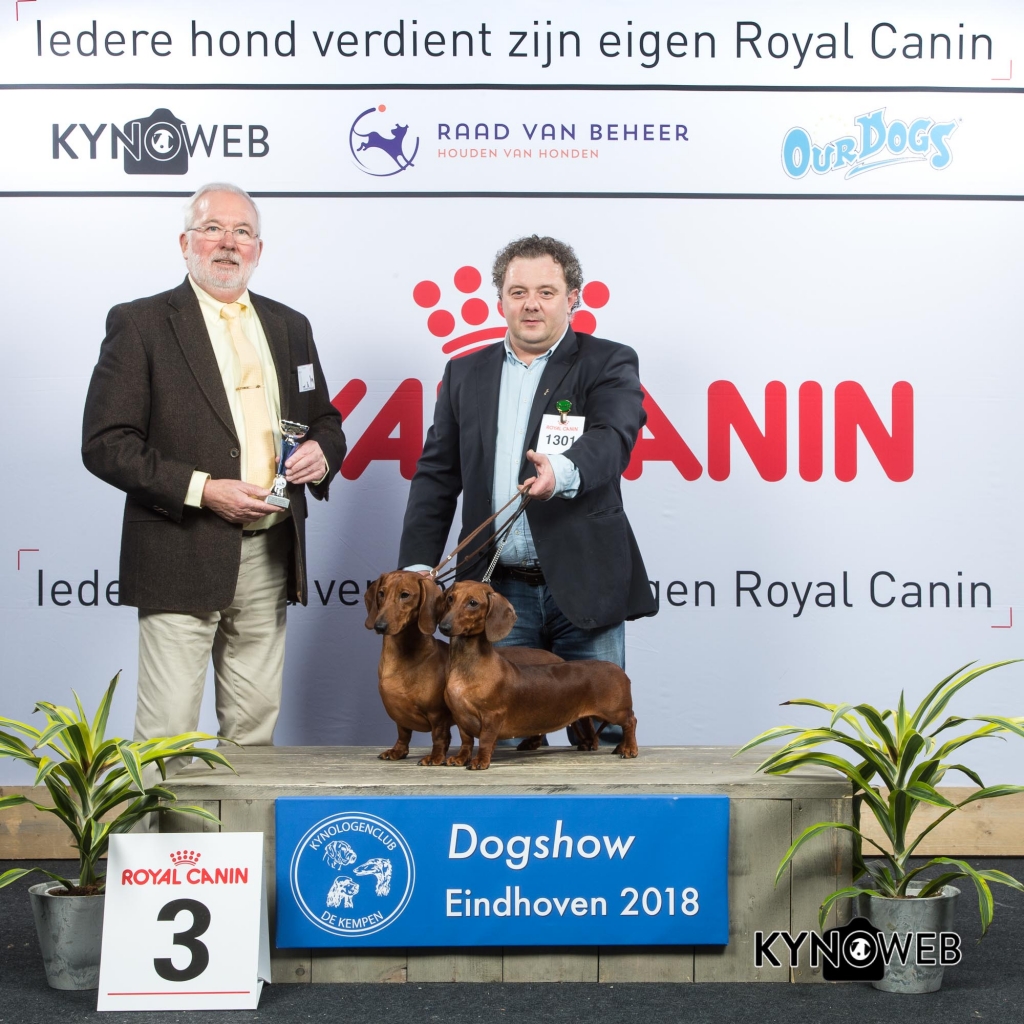K_3_EINDHOVEN_2018_Kynoweb__20180203_15_55_21