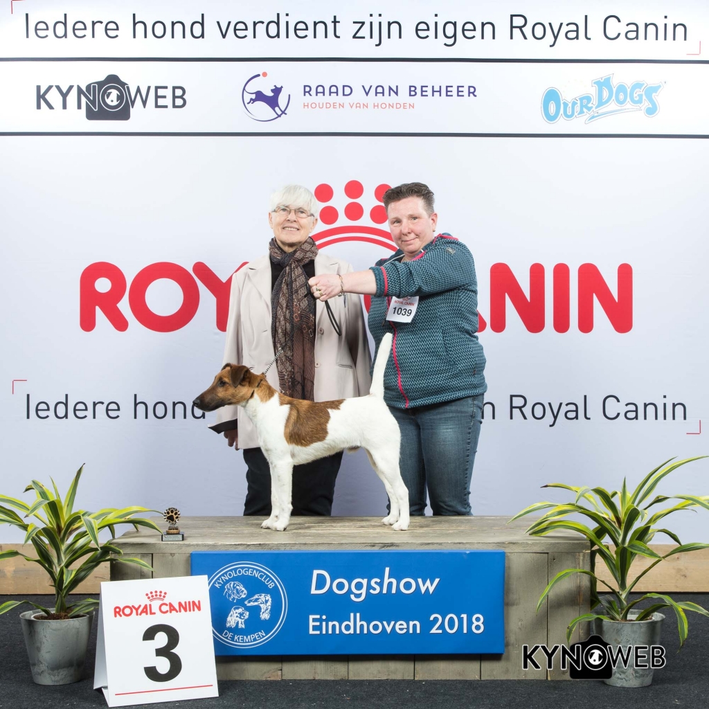 P_3_EINDHOVEN_2018_Kynoweb__20180203_15_45_52