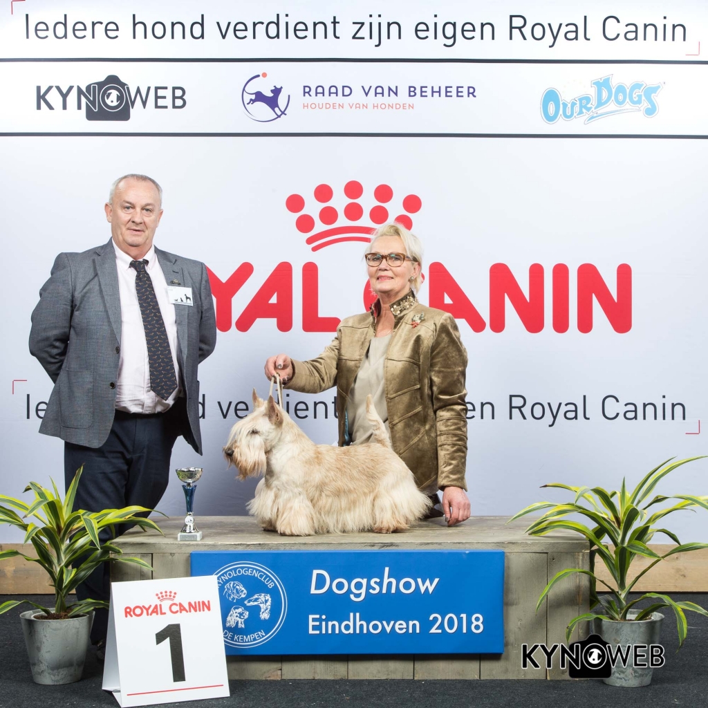 V_1_EINDHOVEN_2018_Kynoweb__20180203_15_48_32