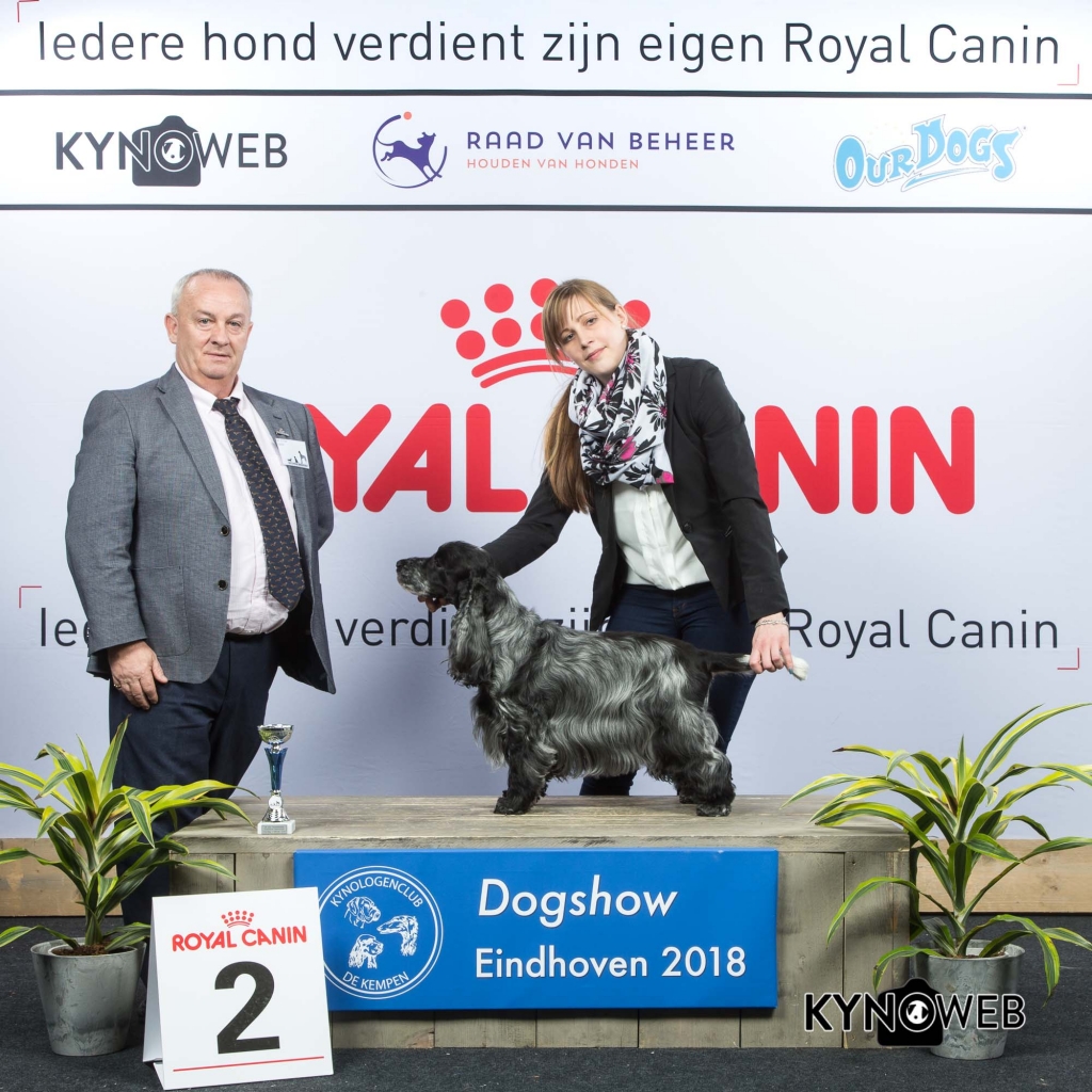 V_2_EINDHOVEN_2018_Kynoweb__20180203_15_49_39