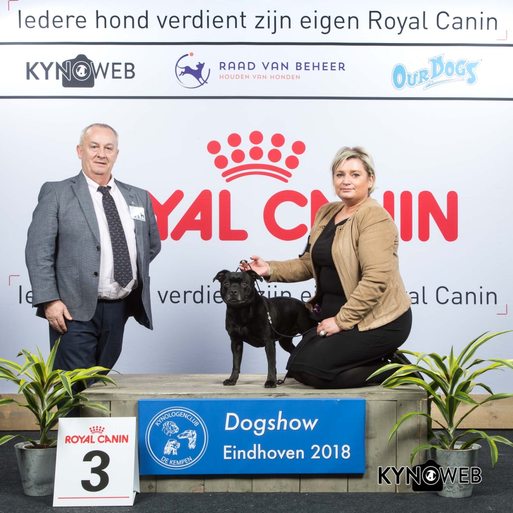 V_3_EINDHOVEN_2018_Kynoweb__20180203_15_50_36