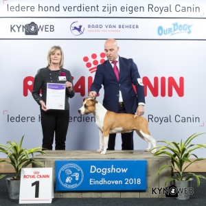 G_3_1_EINDHOVEN_2018_Kynoweb__20180203_16_08_02