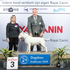 G_3_3_EINDHOVEN_2018_Kynoweb__20180203_16_09_23