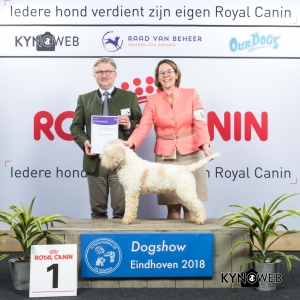 G_8_1_EINDHOVEN_2018_Kynoweb__20180203_16_30_34
