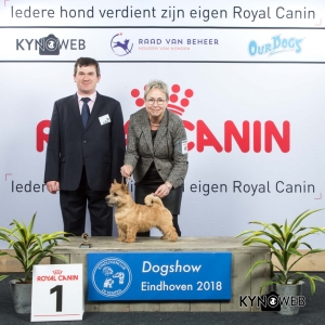 J_1_EINDHOVEN_2018_Kynoweb__20180203_15_32_36
