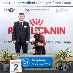 J_2_EINDHOVEN_2018_Kynoweb__20180203_15_34_13