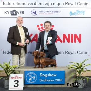 K_3_EINDHOVEN_2018_Kynoweb__20180203_15_55_21