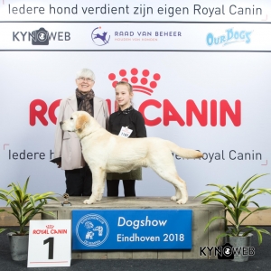 P_1_EINDHOVEN_2018_Kynoweb__20180203_15_42_28