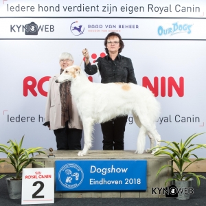 P_2_EINDHOVEN_2018_Kynoweb__20180203_15_44_55
