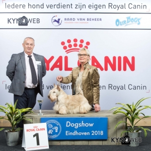 V_1_EINDHOVEN_2018_Kynoweb__20180203_15_48_32