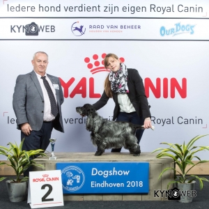 V_2_EINDHOVEN_2018_Kynoweb__20180203_15_49_39