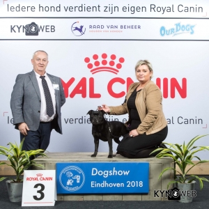 V_3_EINDHOVEN_2018_Kynoweb__20180203_15_50_36