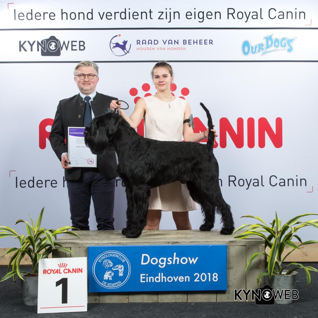 G_2_1_EINDHOVEN_2018_Kynoweb__20180204_16_50_00