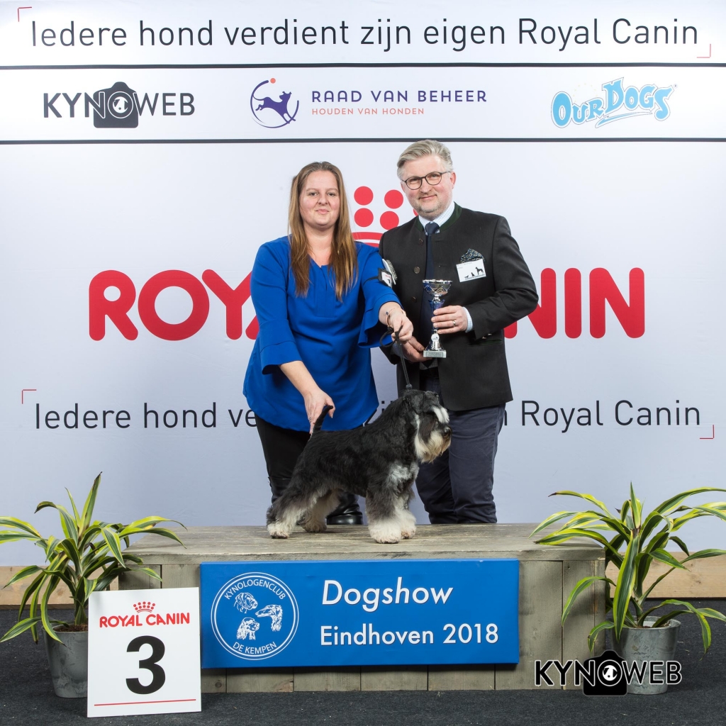 G_2_3_EINDHOVEN_2018_Kynoweb__20180204_16_54_30