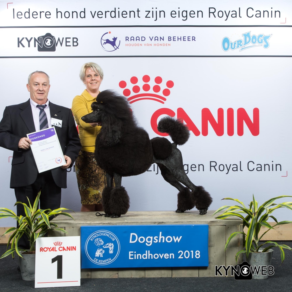 G_9_1_EINDHOVEN_2018_Kynoweb__20180204_16_27_24