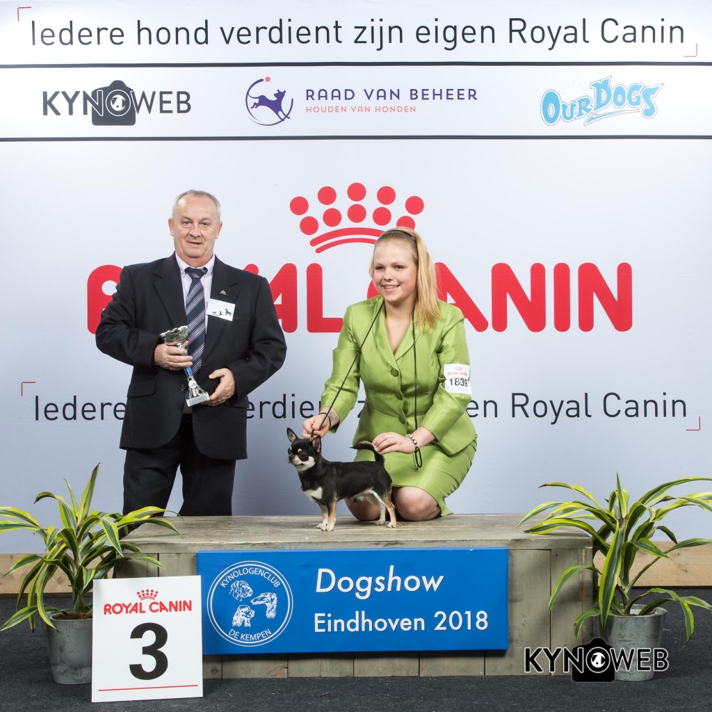 G_9_3_EINDHOVEN_2018_Kynoweb__20180204_16_29_34