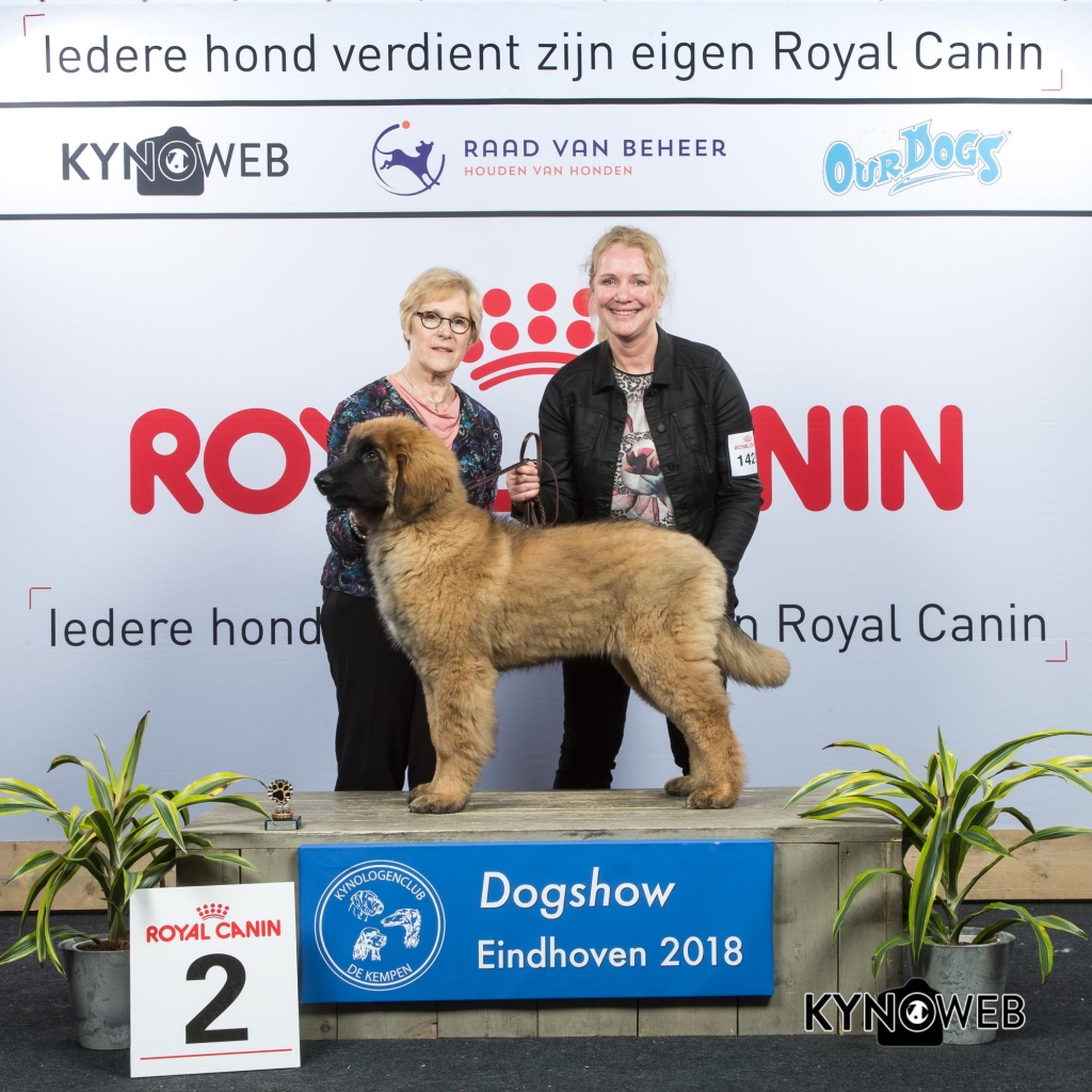 J_2_EINDHOVEN_2018_Kynoweb__20180204_15_53_31