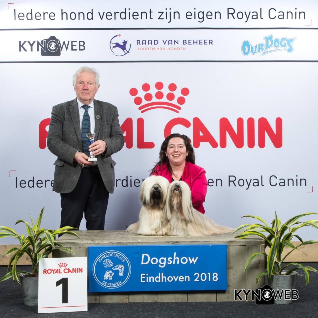 K_1_EINDHOVEN_2018_Kynoweb__20180204_16_15_23