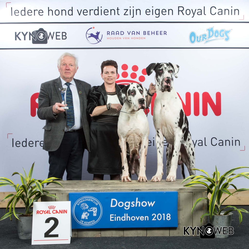 K_2_EINDHOVEN_2018_Kynoweb__20180204_16_17_29