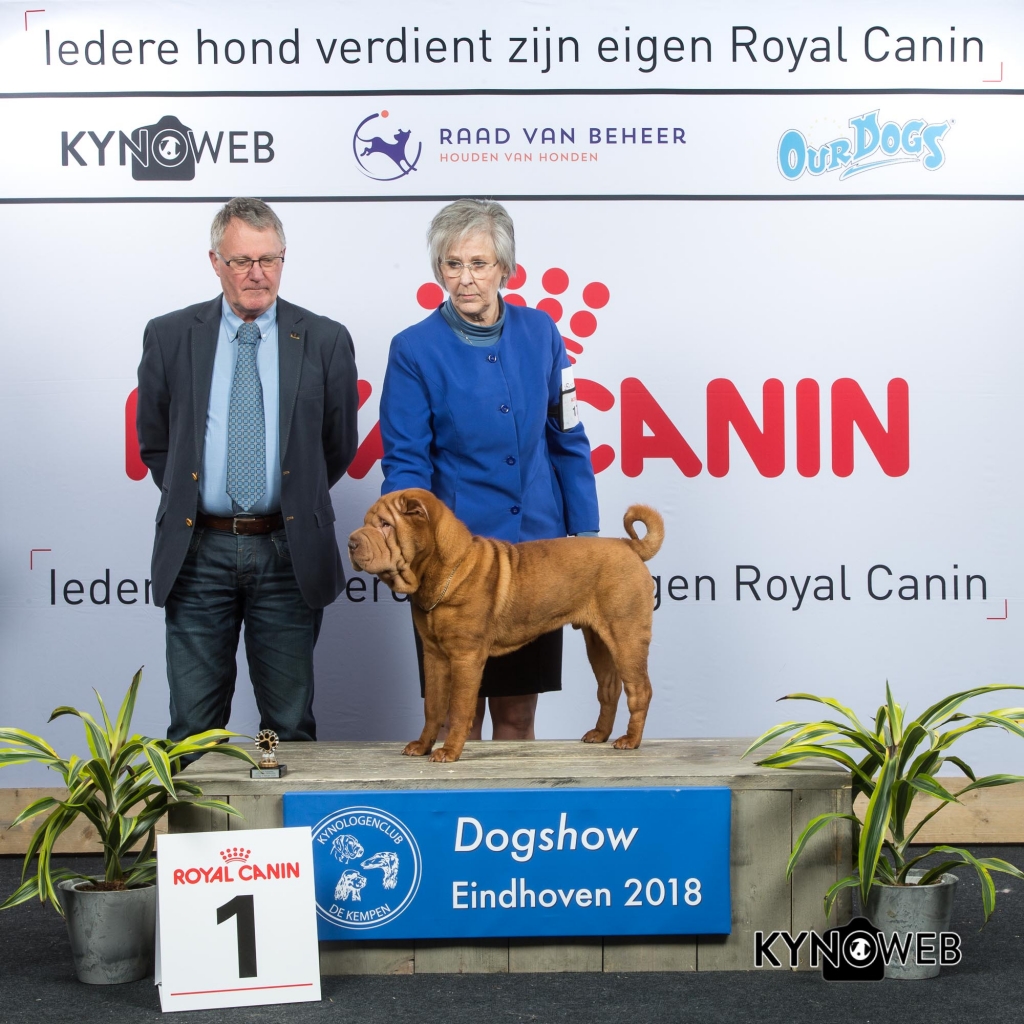 P_1_EINDHOVEN_2018_Kynoweb__20180204_16_03_12