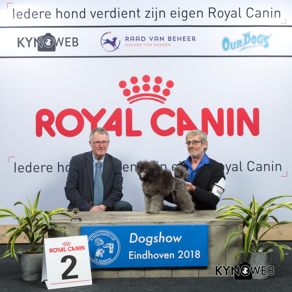 P_2_EINDHOVEN_2018_Kynoweb__20180204_16_05_14