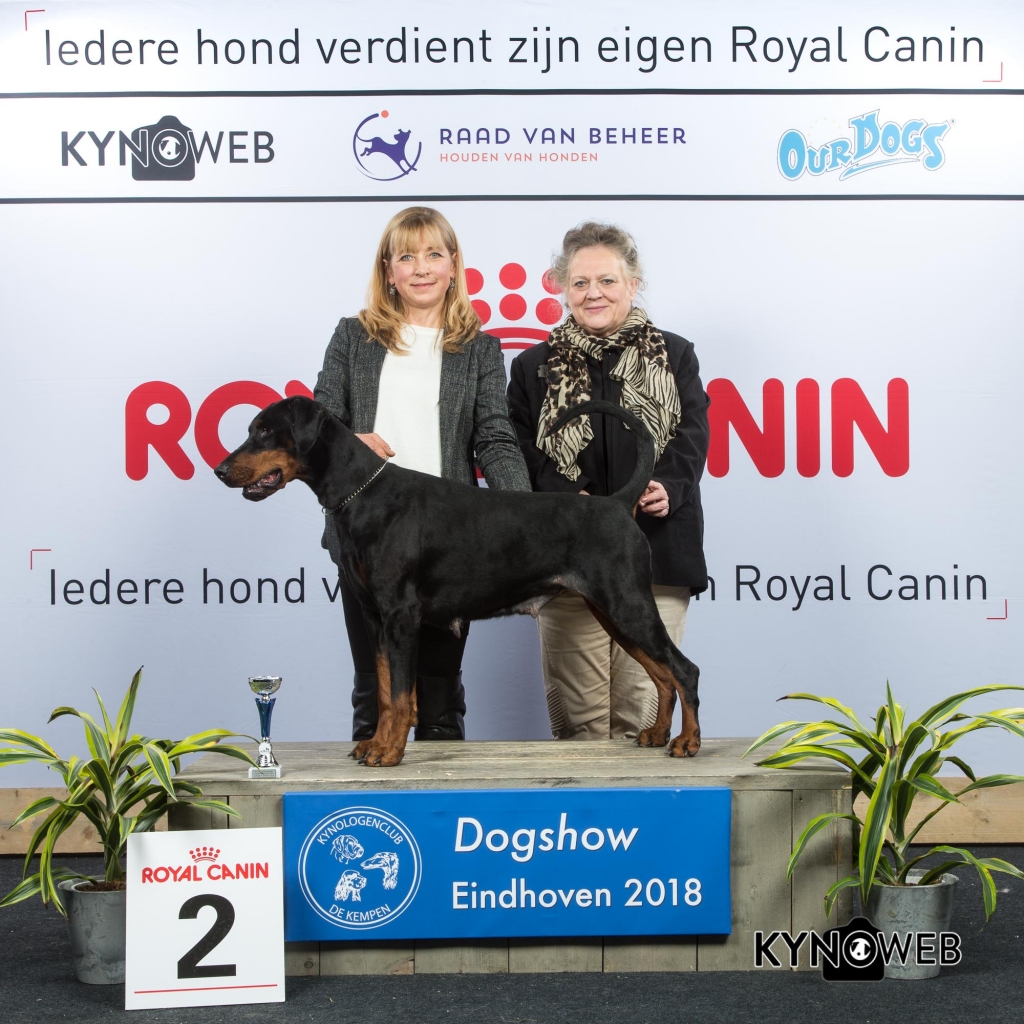 V_2_EINDHOVEN_2018_Kynoweb__20180204_16_10_23