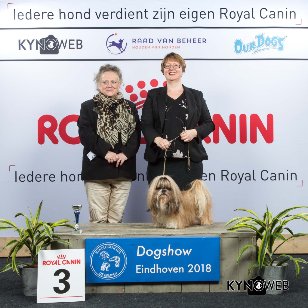 V_3_EINDHOVEN_2018_Kynoweb__20180204_16_12_19