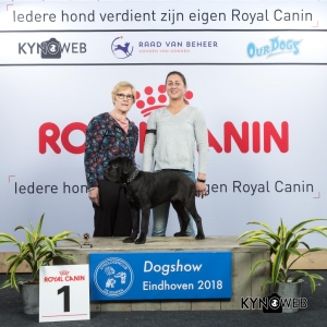 J_1_EINDHOVEN_2018_Kynoweb__20180204_15_52_18