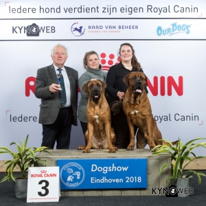 K_3_EINDHOVEN_2018_Kynoweb__20180204_16_20_40