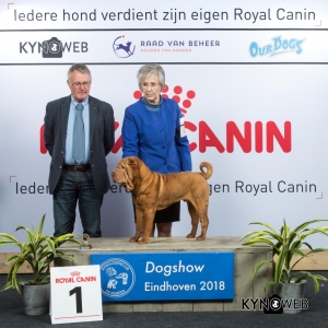 P_1_EINDHOVEN_2018_Kynoweb__20180204_16_03_12