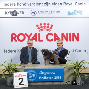 P_2_EINDHOVEN_2018_Kynoweb__20180204_16_05_14