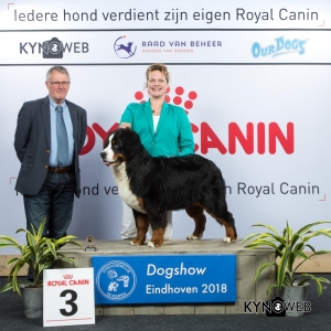 P_3_EINDHOVEN_2018_Kynoweb__20180204_16_06_12
