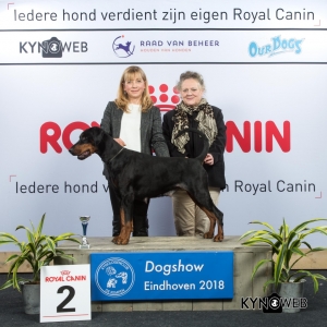 V_2_EINDHOVEN_2018_Kynoweb__20180204_16_10_23