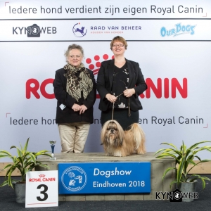 V_3_EINDHOVEN_2018_Kynoweb__20180204_16_12_19