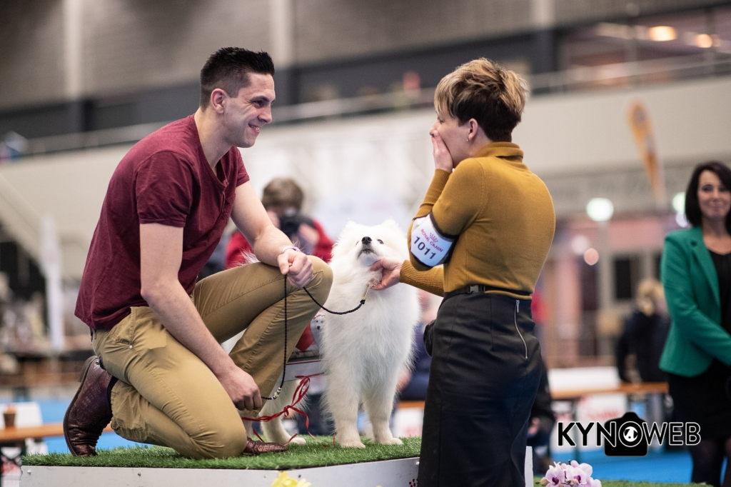 DOGSHOW_EINDHOVEN_2019_KYNOWEB_20190207_09_31_20_KYNOWEB_Ron_Baltus_20190202_151231_X2310643