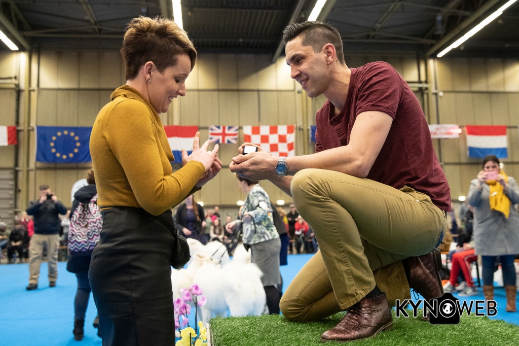 DOGSHOW_EINDHOVEN_2019_KYNOWEB_20190207_09_31_21_KYNOWEB_Ron_Baltus_20190202_151348_XX032870