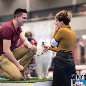 DOGSHOW_EINDHOVEN_2019_KYNOWEB_20190207_09_31_20_KYNOWEB_Ron_Baltus_20190202_151231_X2310643