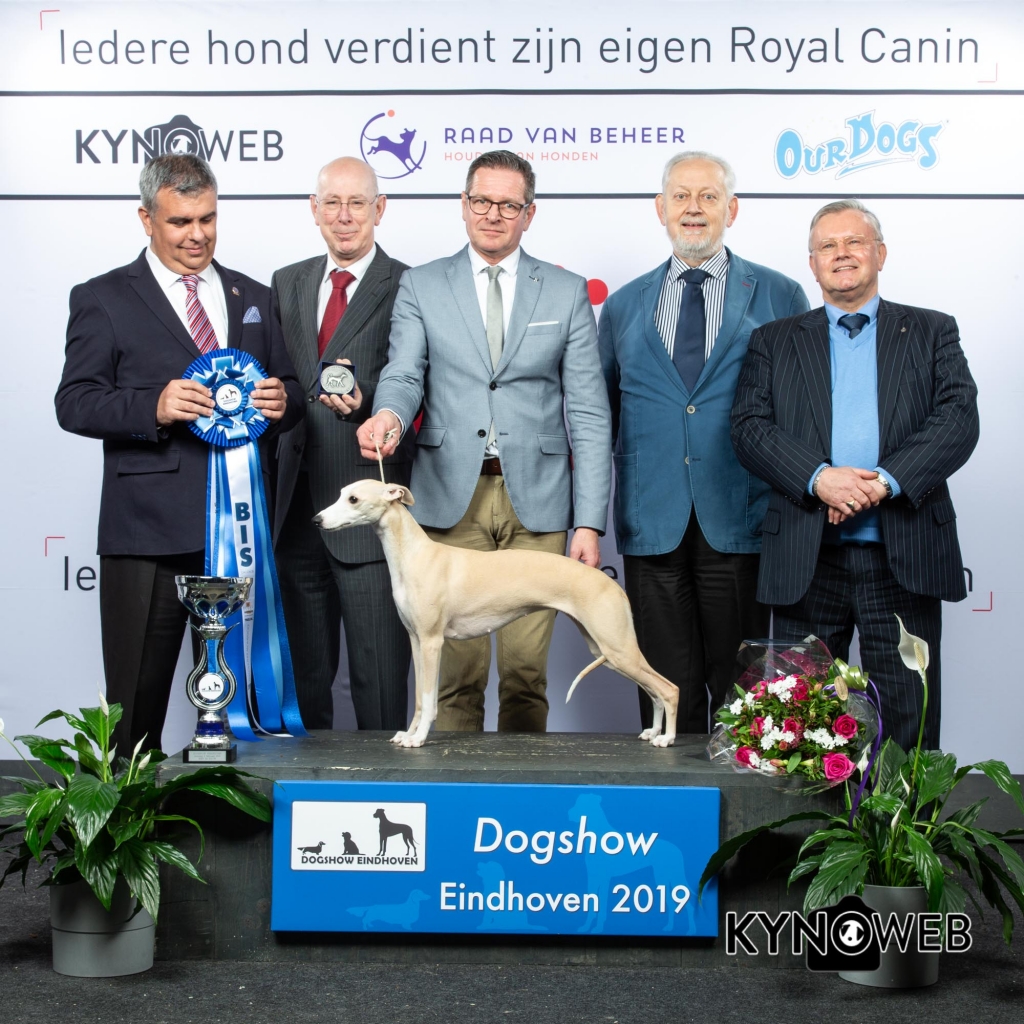 BIS_1_DOGSHOW_EINDHOVEN_2019_KYNOWEB_20190203_15_27_45_KY3_7766
