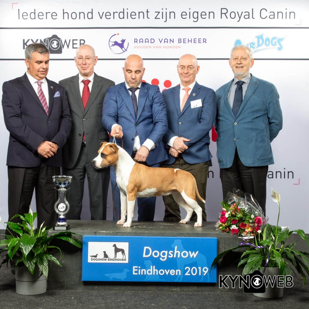 BIS_2_DOGSHOW_EINDHOVEN_2019_KYNOWEB_20190203_15_30_22_KY3_7767