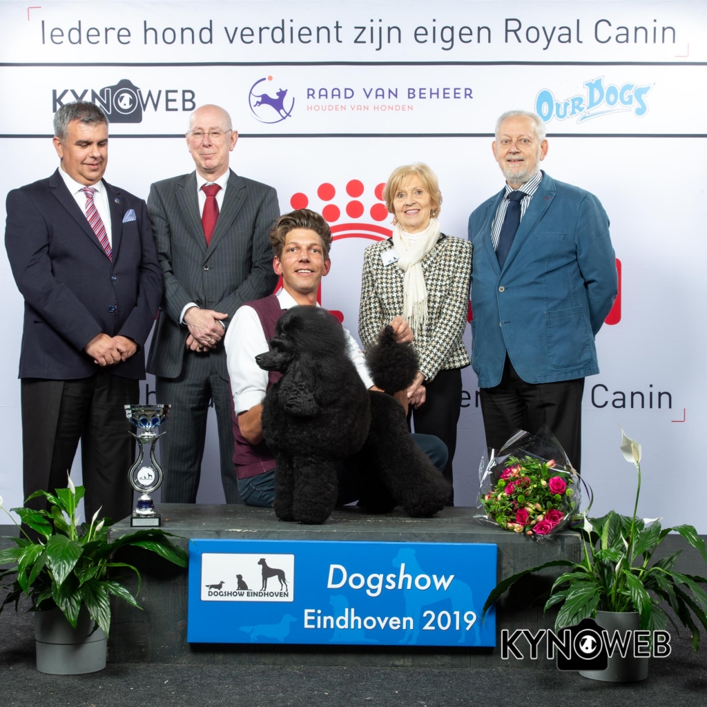 BIS_3_DOGSHOW_EINDHOVEN_2019_KYNOWEB_20190203_15_33_47_KY3_7772