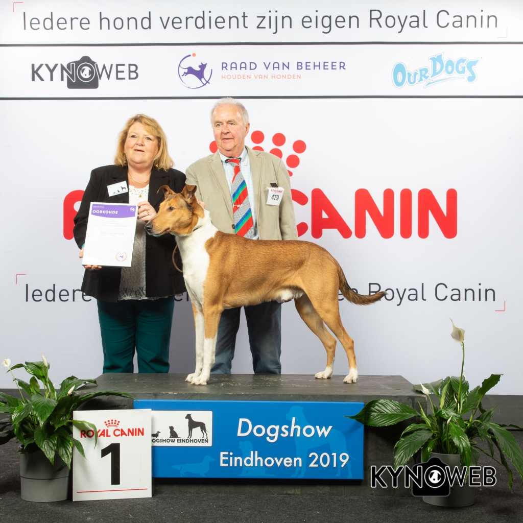 G_1_1_DOGSHOW_EINDHOVEN_2019_KYNOWEB_20190201_15_32_14_KY3_6771