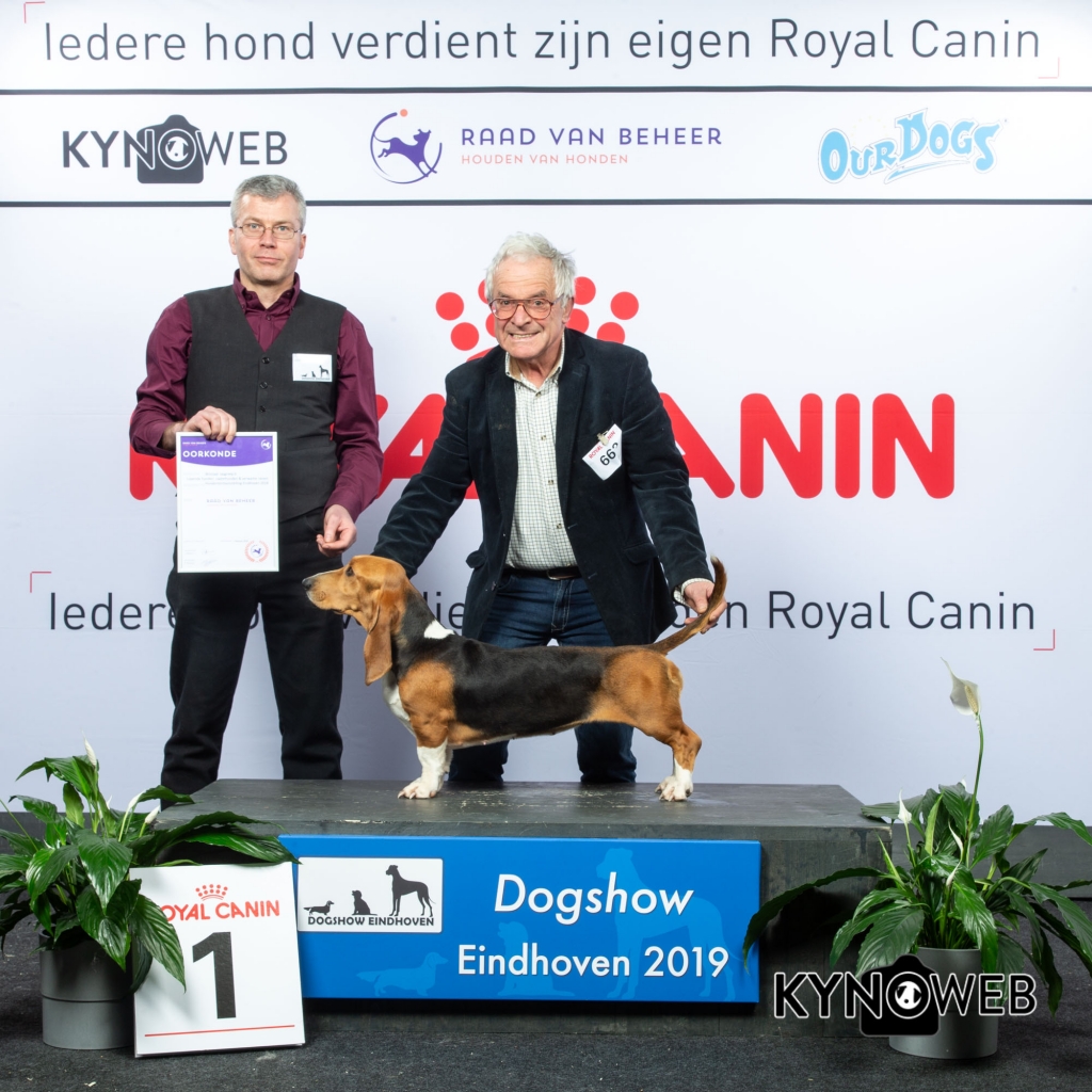 G_6_1_DOGSHOW_EINDHOVEN_2019_KYNOWEB_20190202_14_28_10_KY3_7190