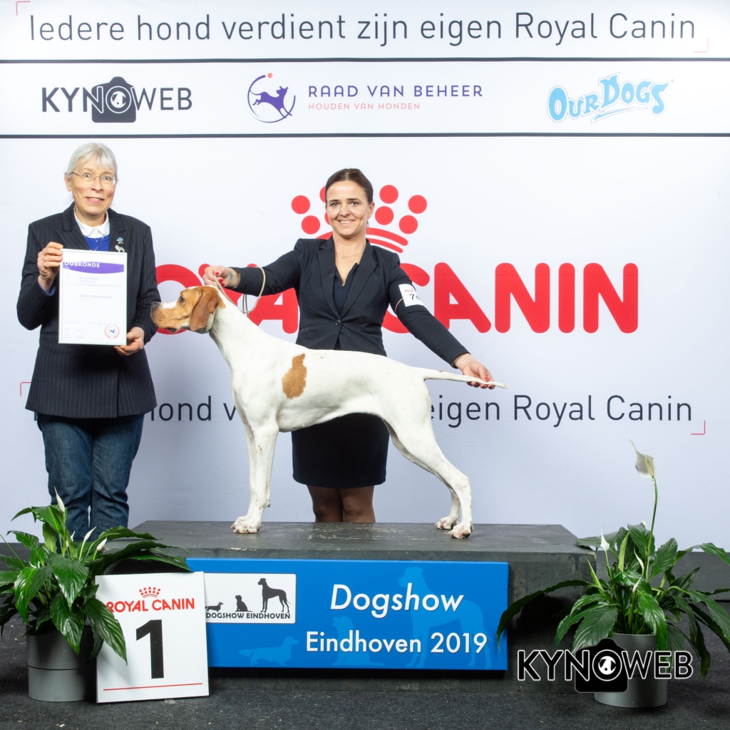 G_7_1_DOGSHOW_EINDHOVEN_2019_KYNOWEB_20190202_14_36_24_KY3_7201