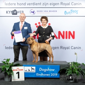 G_2_1_DOGSHOW_EINDHOVEN_2019_KYNOWEB_20190203_15_01_34_KY3_7756