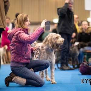 DOGSHOW_EINDHOVEN_2019_KYNOWEB_20190207_09_31_16_KYNOWEB_Ron_Baltus_20190202_094933_X2309734
