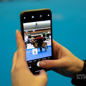 DOGSHOW_EINDHOVEN_2019_KYNOWEB_20190207_09_31_21_KYNOWEB_Ron_Baltus_20190202_152354_XX032905