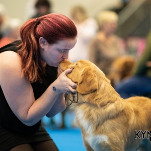 DOGSHOW_EINDHOVEN_2019_KYNOWEB_RON_BALTUS_20190205_12_26_41_KYNOWEB_Ron_Baltus_20190201_101336_XX030654-3