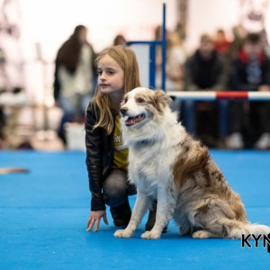 DOGSHOW_EINDHOVEN_2019_KYNOWEB_RON_BALTUS_20190205_12_26_43_KYNOWEB_Ron_Baltus_20190201_144137_XX031014-3