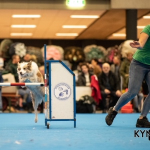 DOGSHOW_EINDHOVEN_2019_KYNOWEB_RON_BALTUS_20190205_12_26_43_KYNOWEB_Ron_Baltus_20190201_145451_XX031050-3
