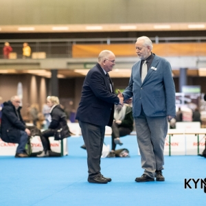 DOGSHOW_EINDHOVEN_2019_KYNOWEB_RON_BALTUS_20190205_12_26_45_KYNOWEB_Ron_Baltus_20190201_154245_XX031393-3